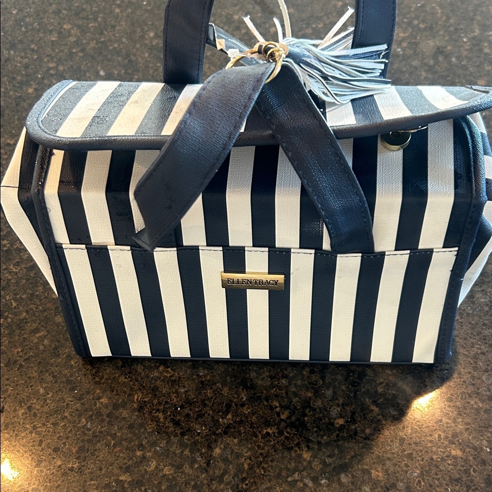 Ellen Tracy Striped Satchel in Navy and White